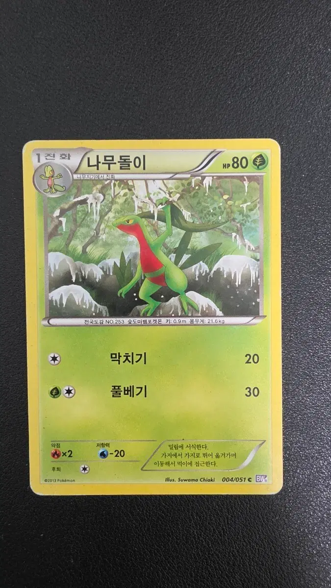 포켓몬 카드 나무돌이 bw8 004/051