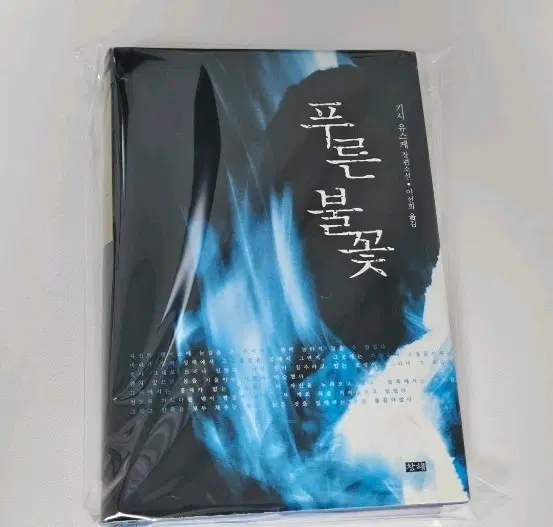 기시 유스케 푸른불꽃 책