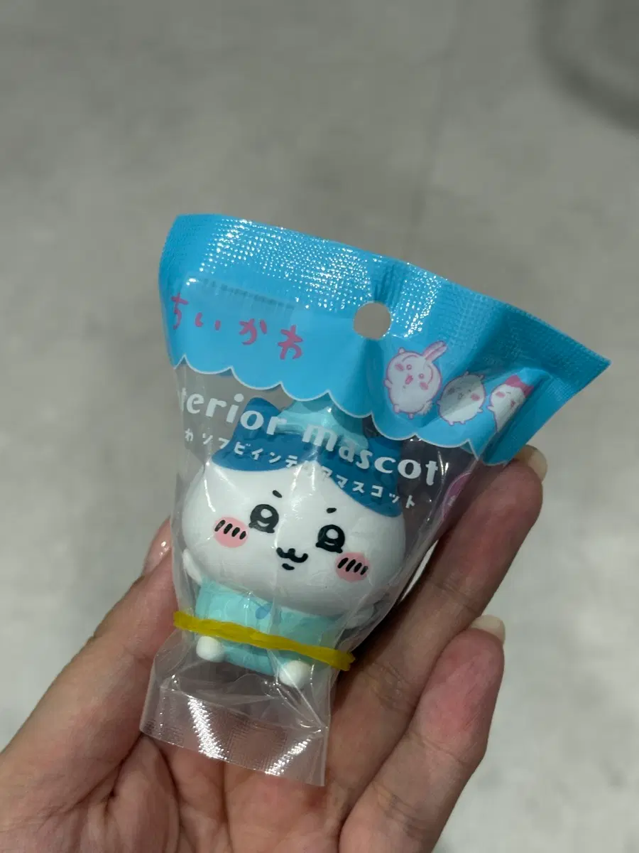 먼작귀 치이카와 하치와레 소프비