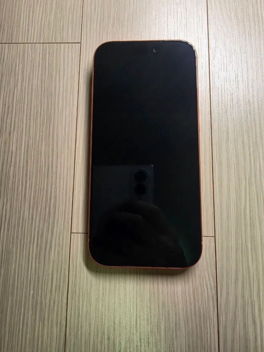 아이폰 17 프로 256GB(애플케어 28.02.08까지)