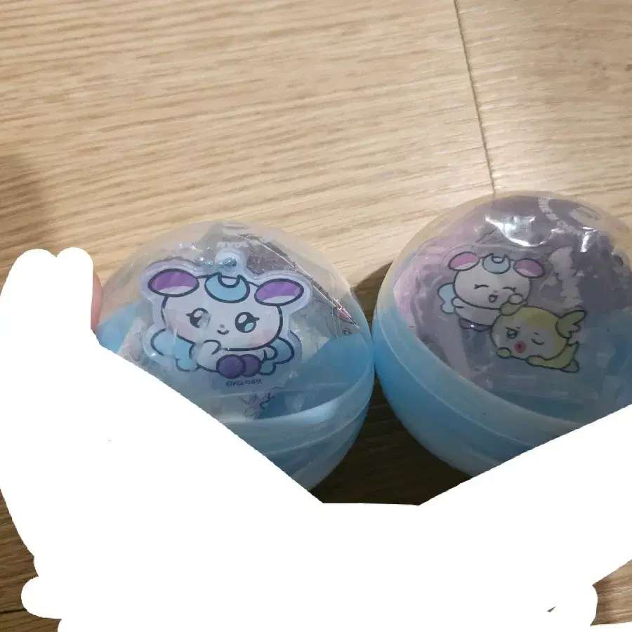 마이티즈 쫑요 밍요 종호 민기 아크릴