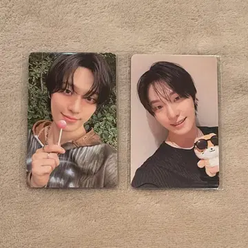 SEVENTEEN 디노 피치 린 트레이딩 카드 2장 세트