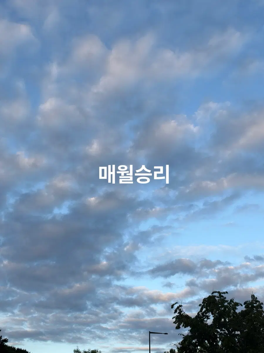 매월승리 2026버전