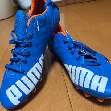 새상품 PUMA 에보 스피드 3.4 Lth HG 27.5cm