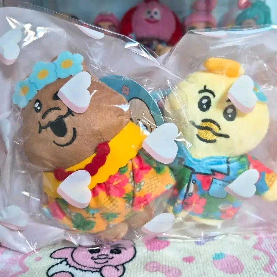 (새상품/일괄) 하와이 태닝 음뽀챠무 키미마로