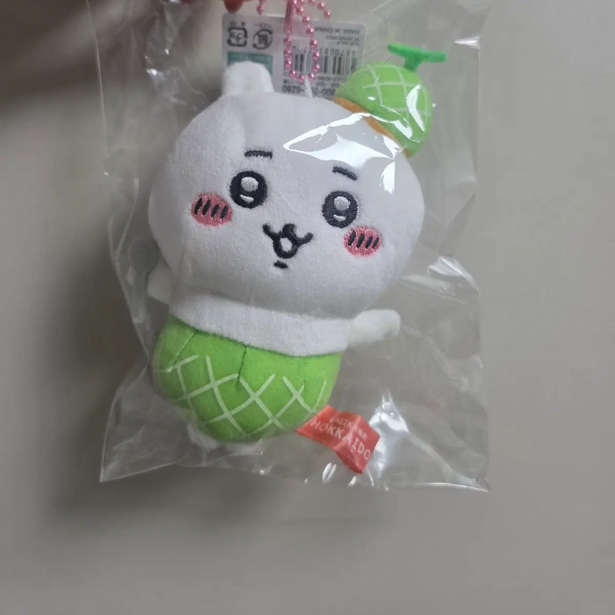 훗카이도 한정 멜론 치이카와