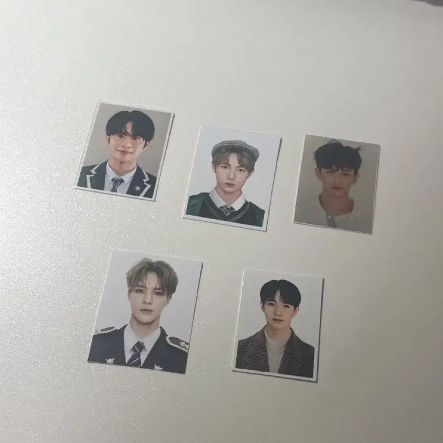엔시티 증사 일괄