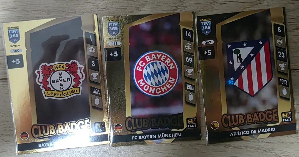파니니 FIFA 365 일괄판매