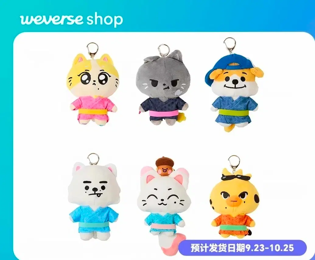 예판 엔하이픈 일본 인형 wonchu