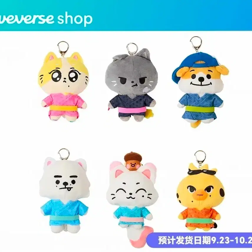 예판 엔하이픈 일본 인형 kishu