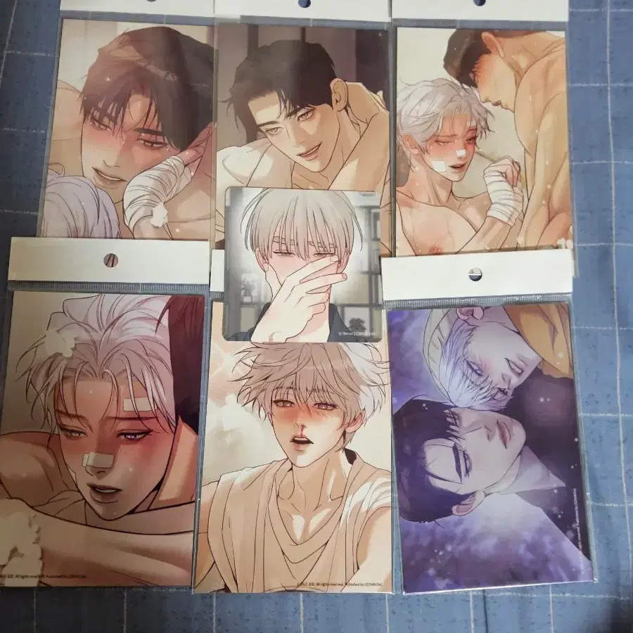 레봄 조개소년 인화사진 6종+그림자의 영역 코스터