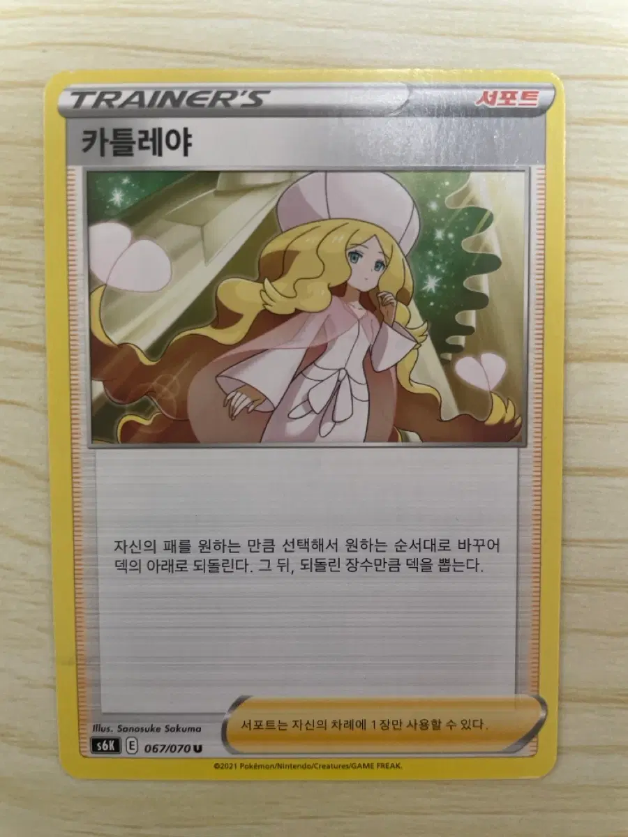 카틀레야 s6K 2021