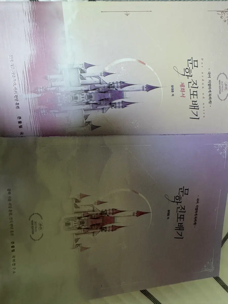 2027학년도 유대종T 문학진또배기