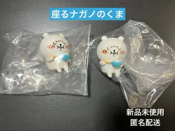 농담곰 앉아있는 나가노의 곰