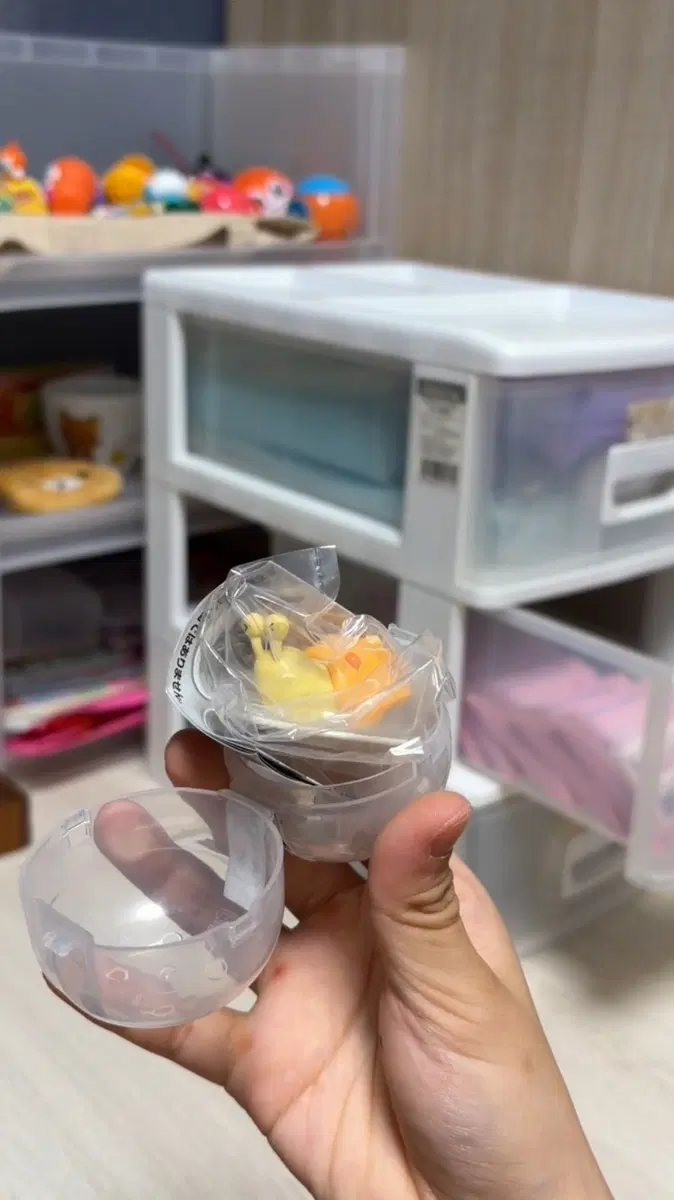 달팽이 가챠