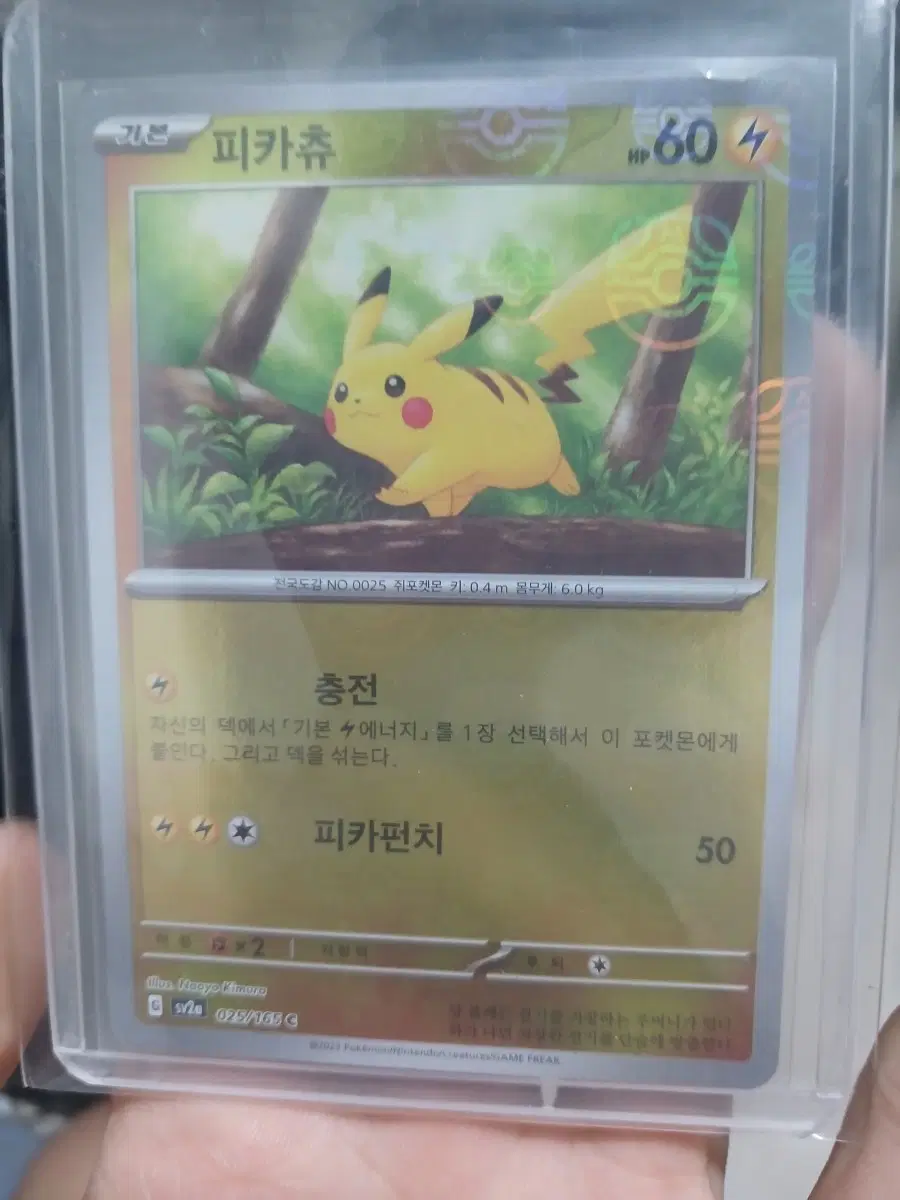 피카츄 마스터볼