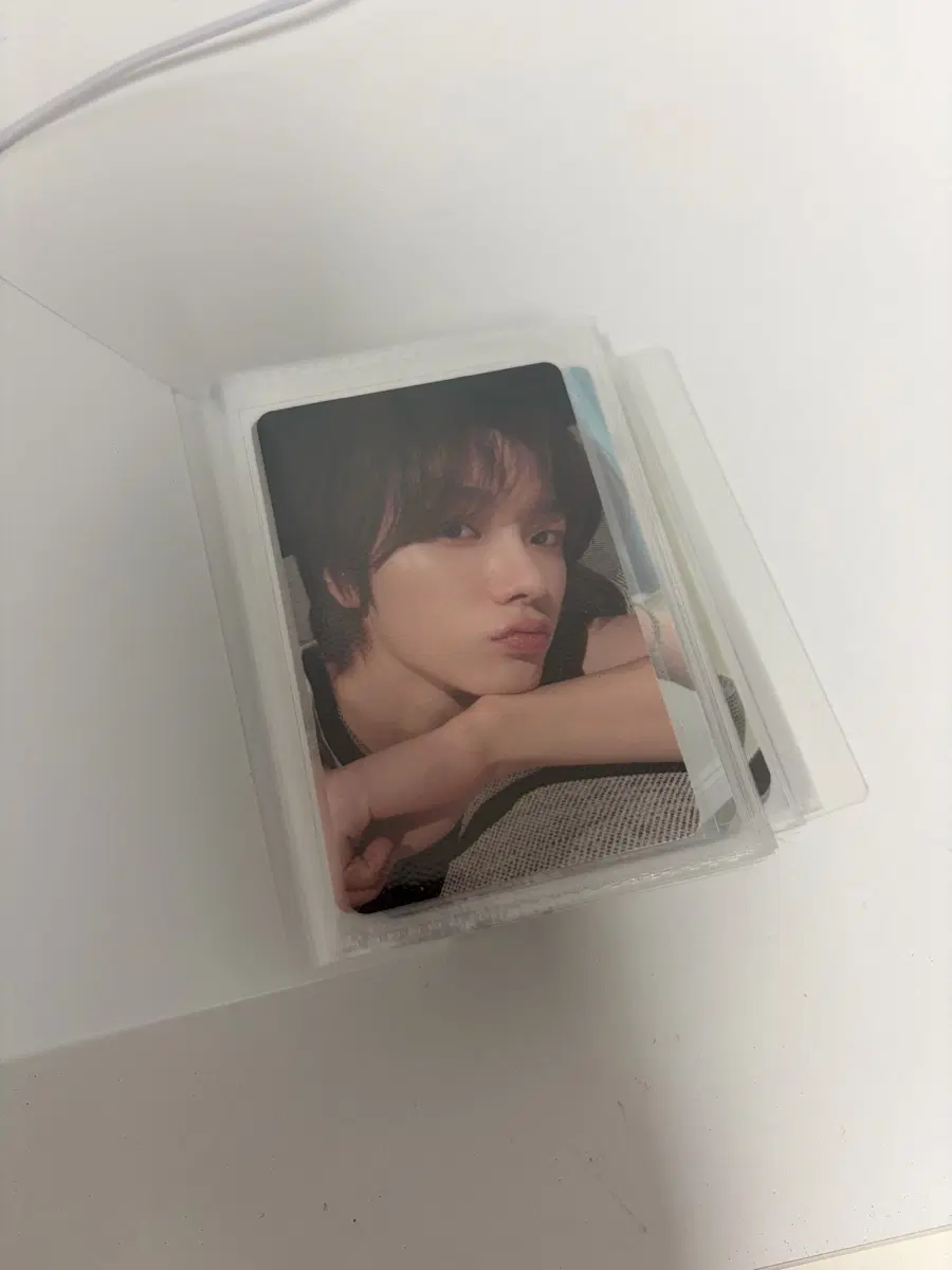 보넥도 19.99 성호 카카오톡 선물하기