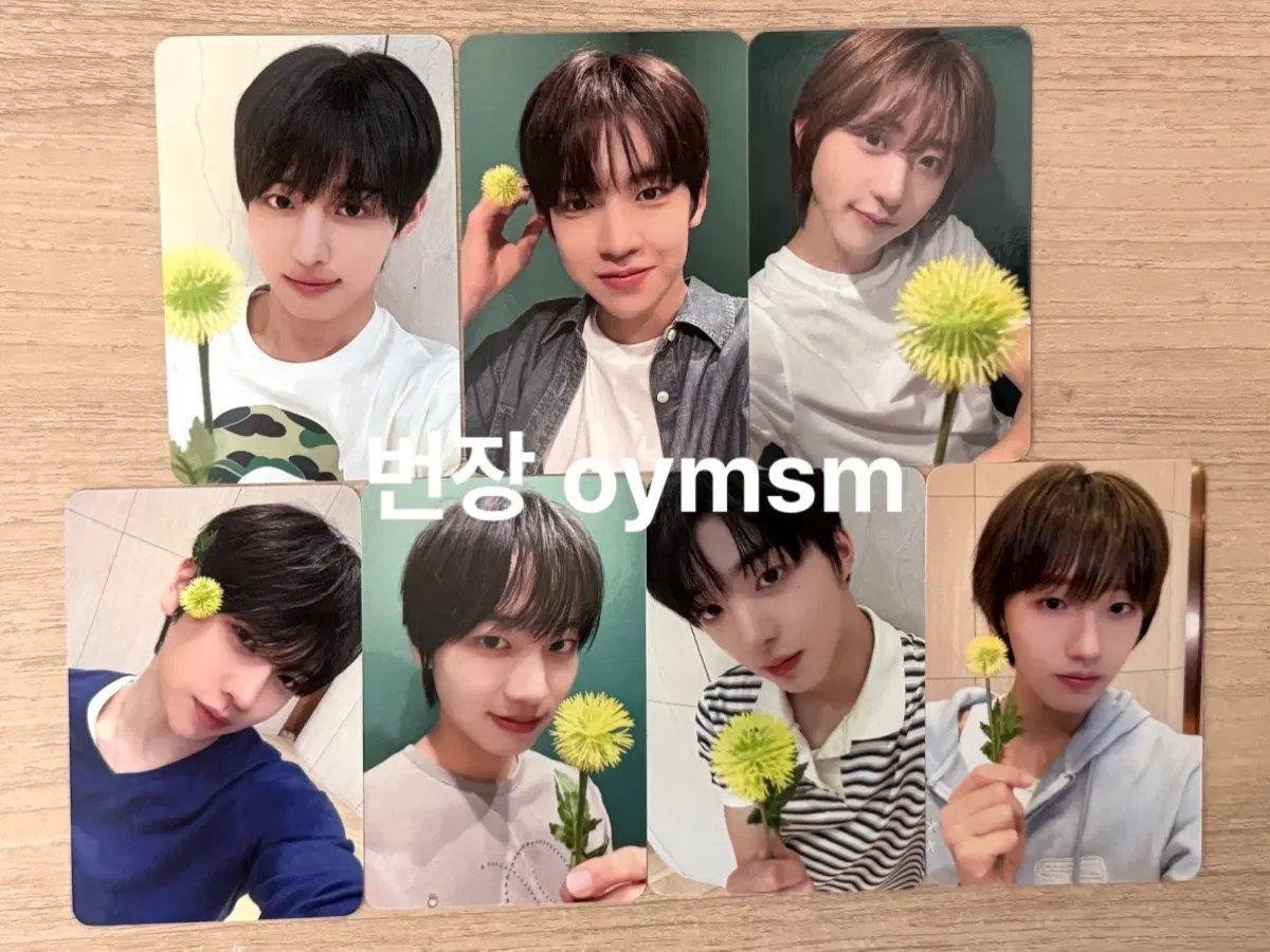 아이딧 260802 사운드웨이브 위딧사랑해요 미공포 양도 장용훈 김민재 박원빈 추유찬 박성현 백준혁 정세민