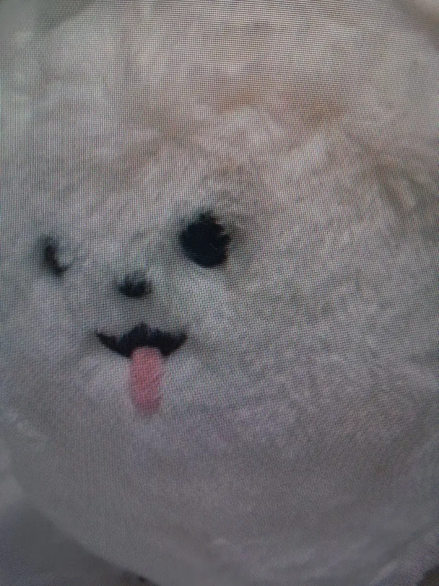 에이트리 슈마이 초기누이