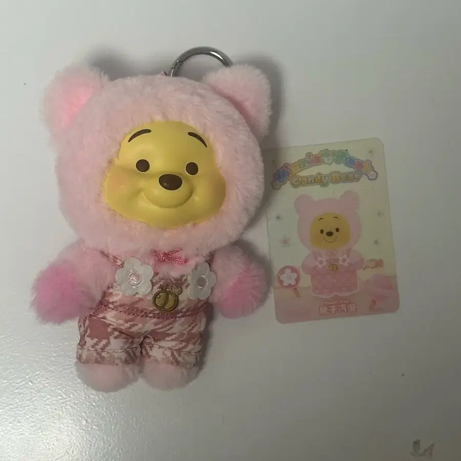 곰돌이푸 키링 (카드 포함)