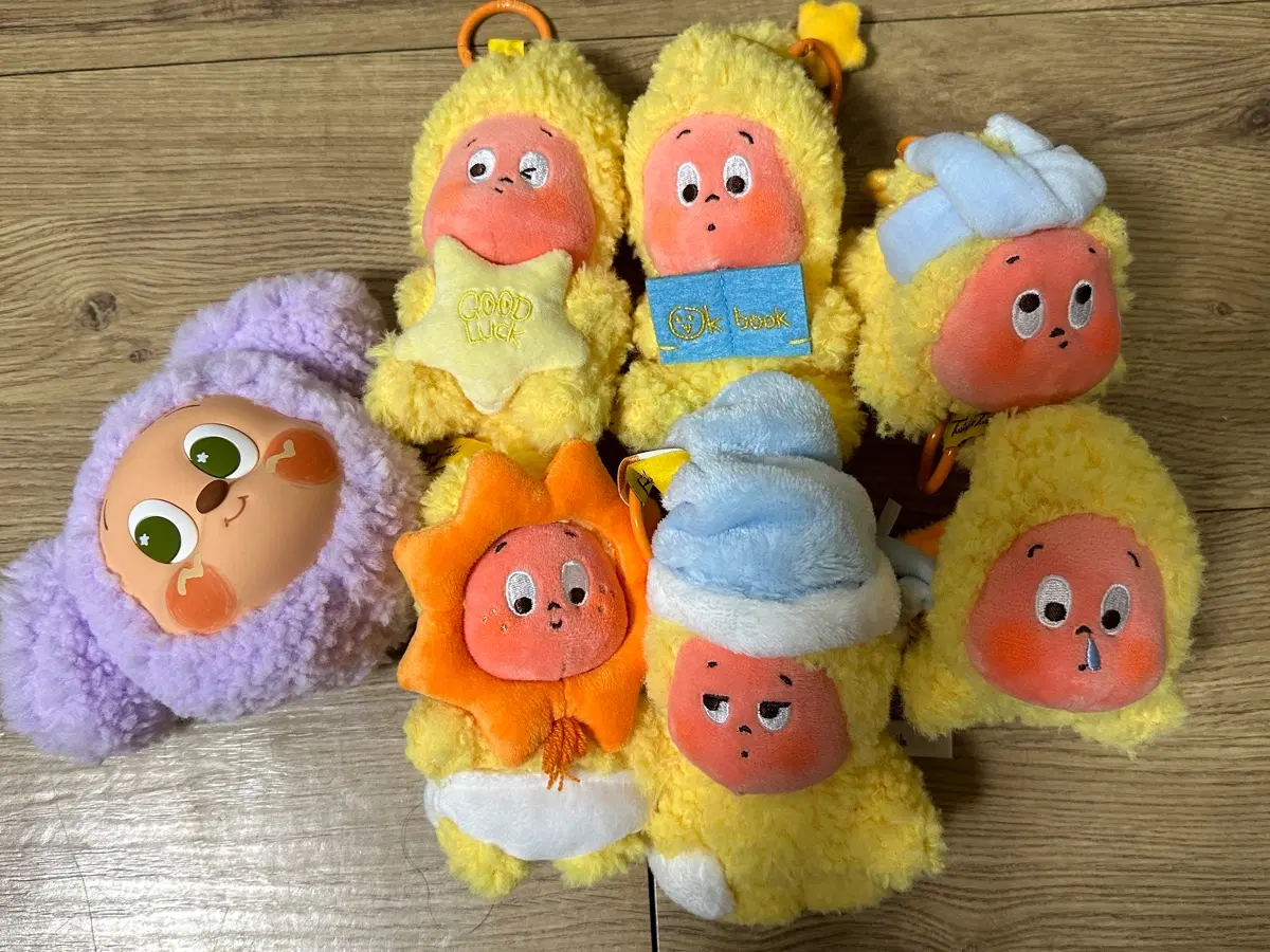 반짝반짝 작은별 6종 세트 일괄 판매