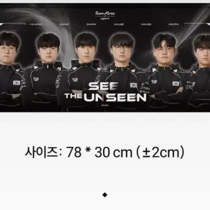 Team Korea 장패드