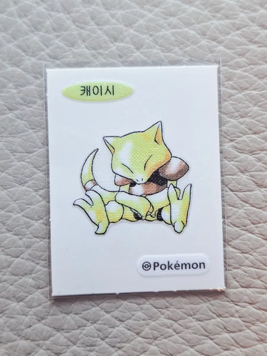 포켓몬 캐이시 띠부씰 스티커