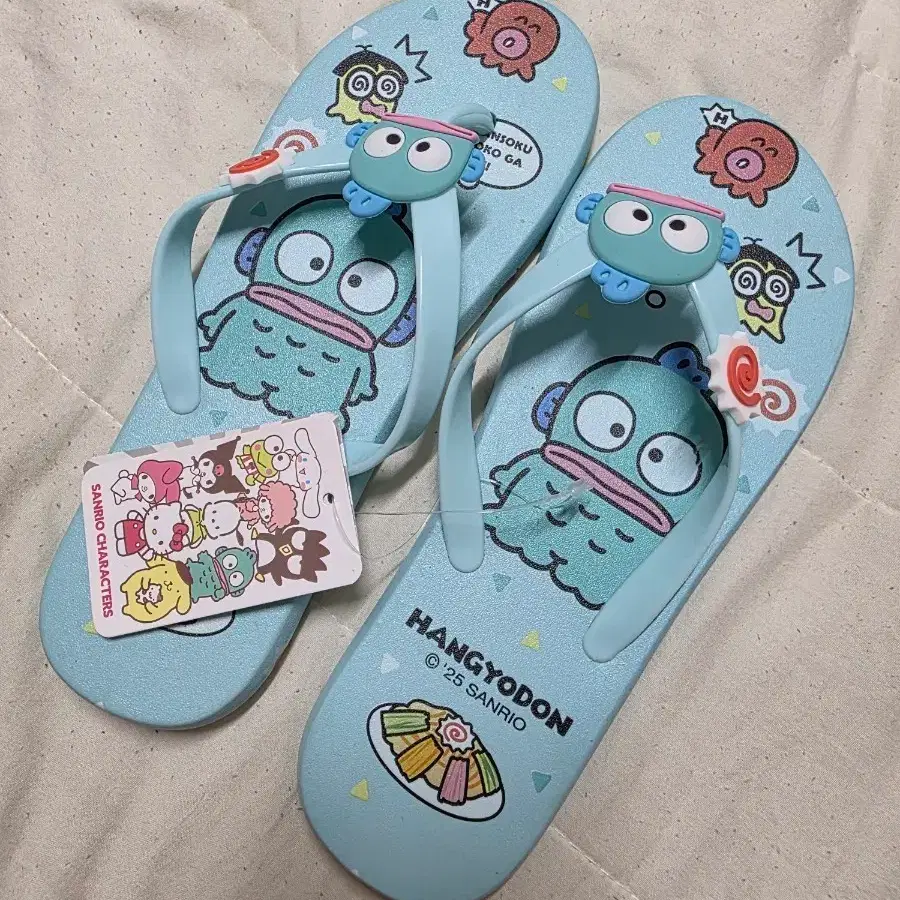 한교동 쪼리 235