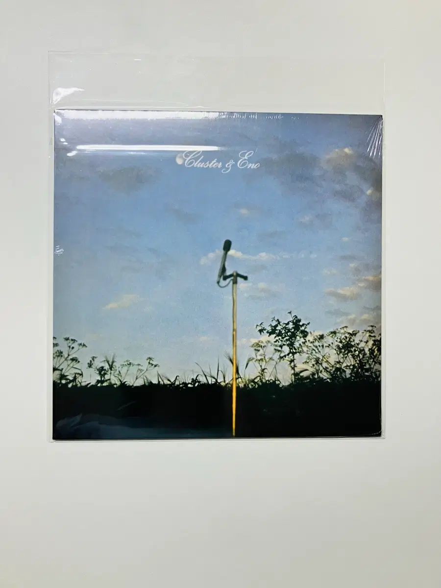 Cluster & Eno - Cluster & Eno LP