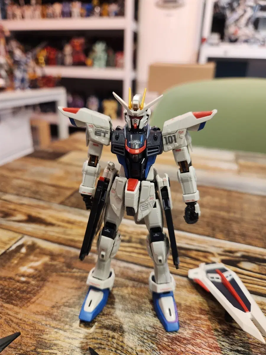 RG 프리덤 건담 정크
