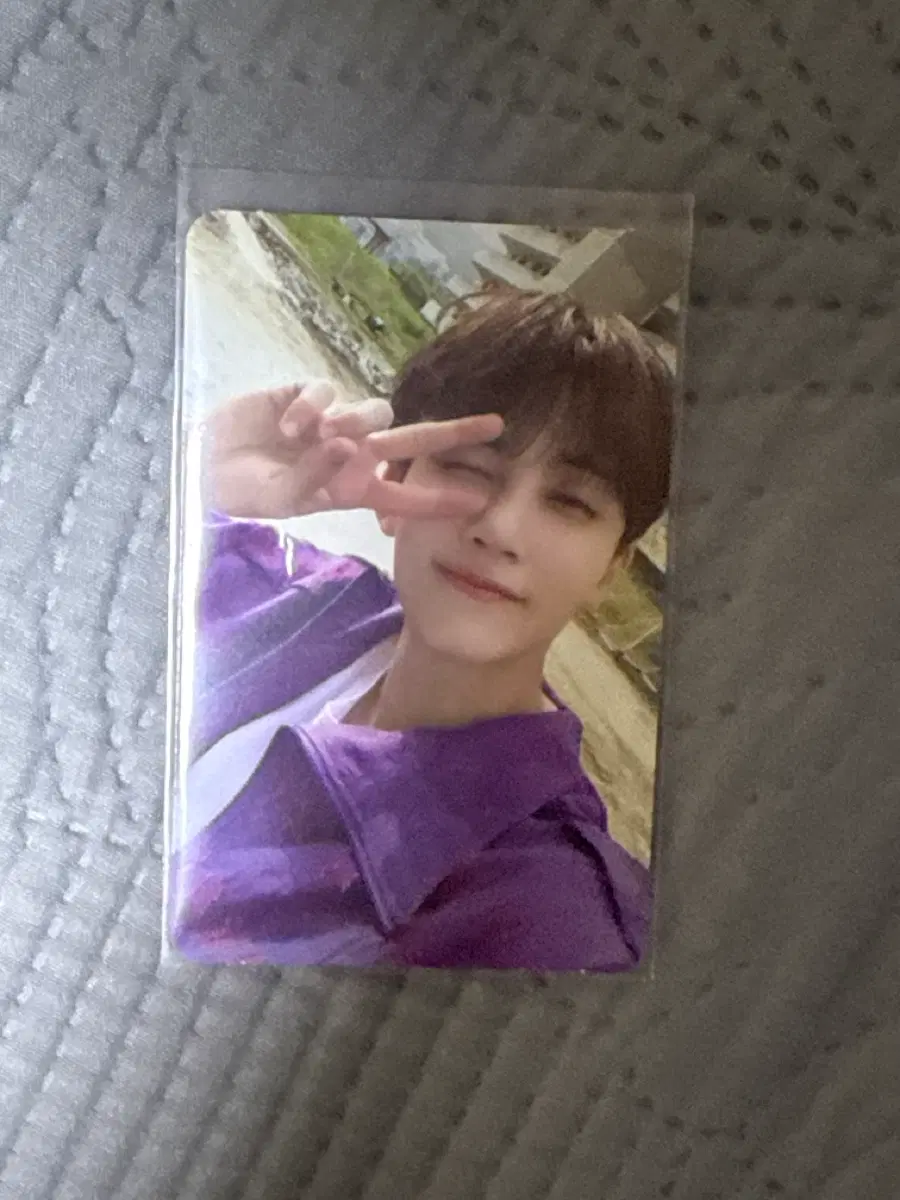 신나라 정한