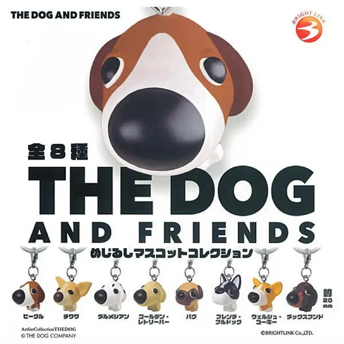 the dog 더독 더 도그 메지루시 웰시코기