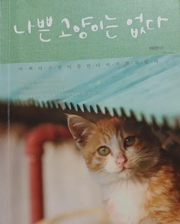 서적 나쁜 고양이 없다