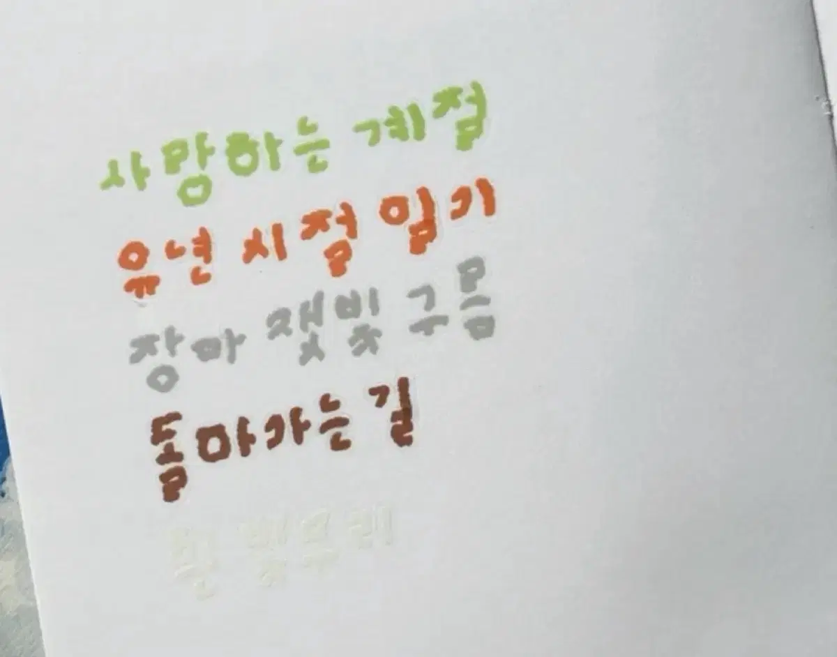 솔솔수집 동그란어항체 키스컷 소분띵