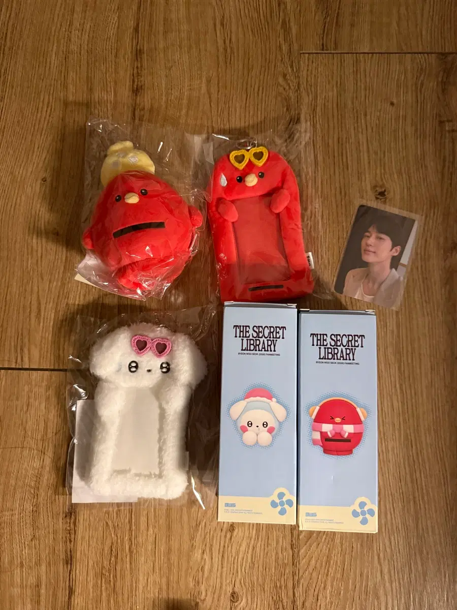 변우석 아시아투어 굿즈 일괄판매
