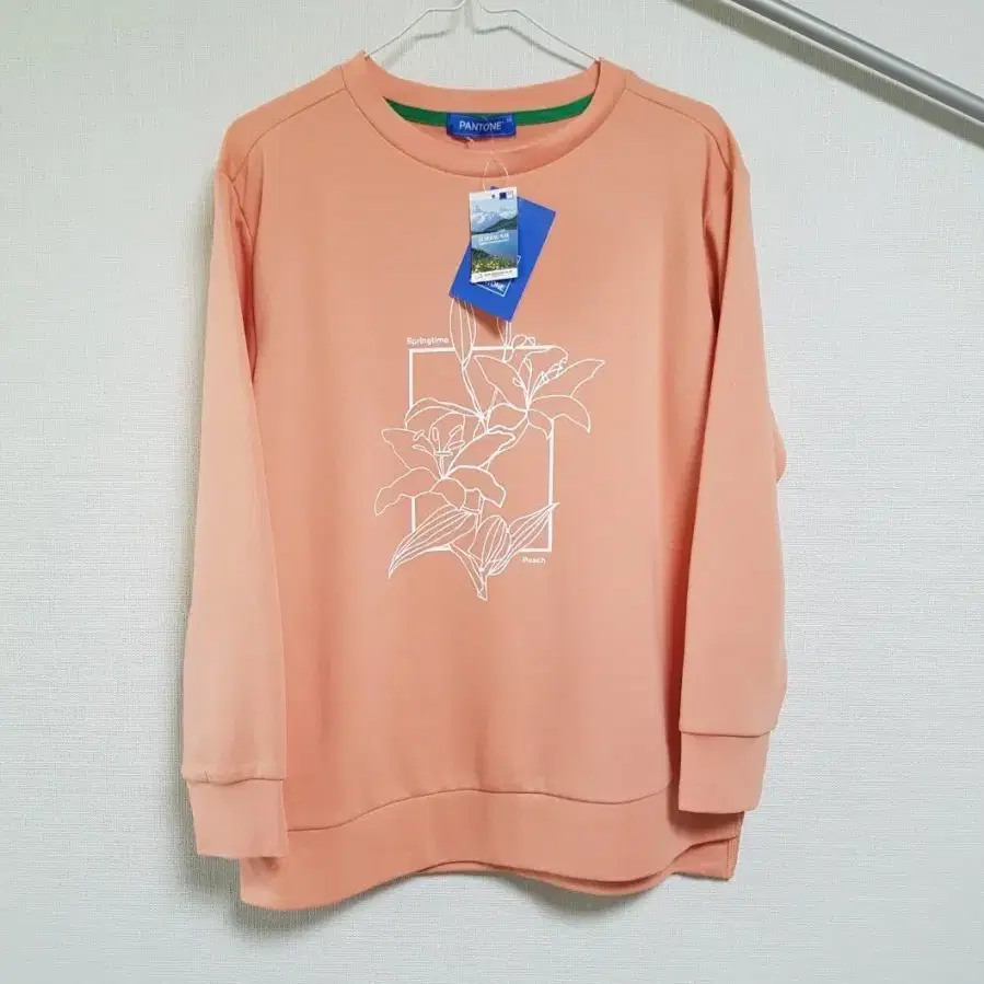 (새상품)PANTONE 맨투맨 티셔츠