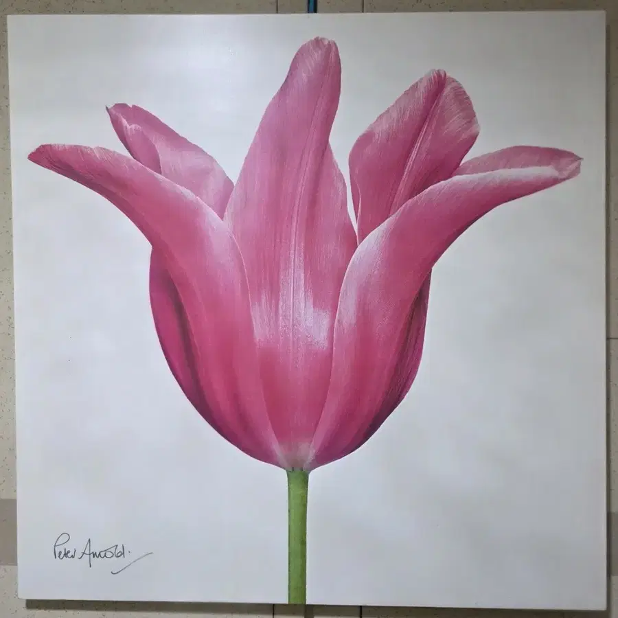 피터 아놀드 영국 작가의 작품(92*92cm)