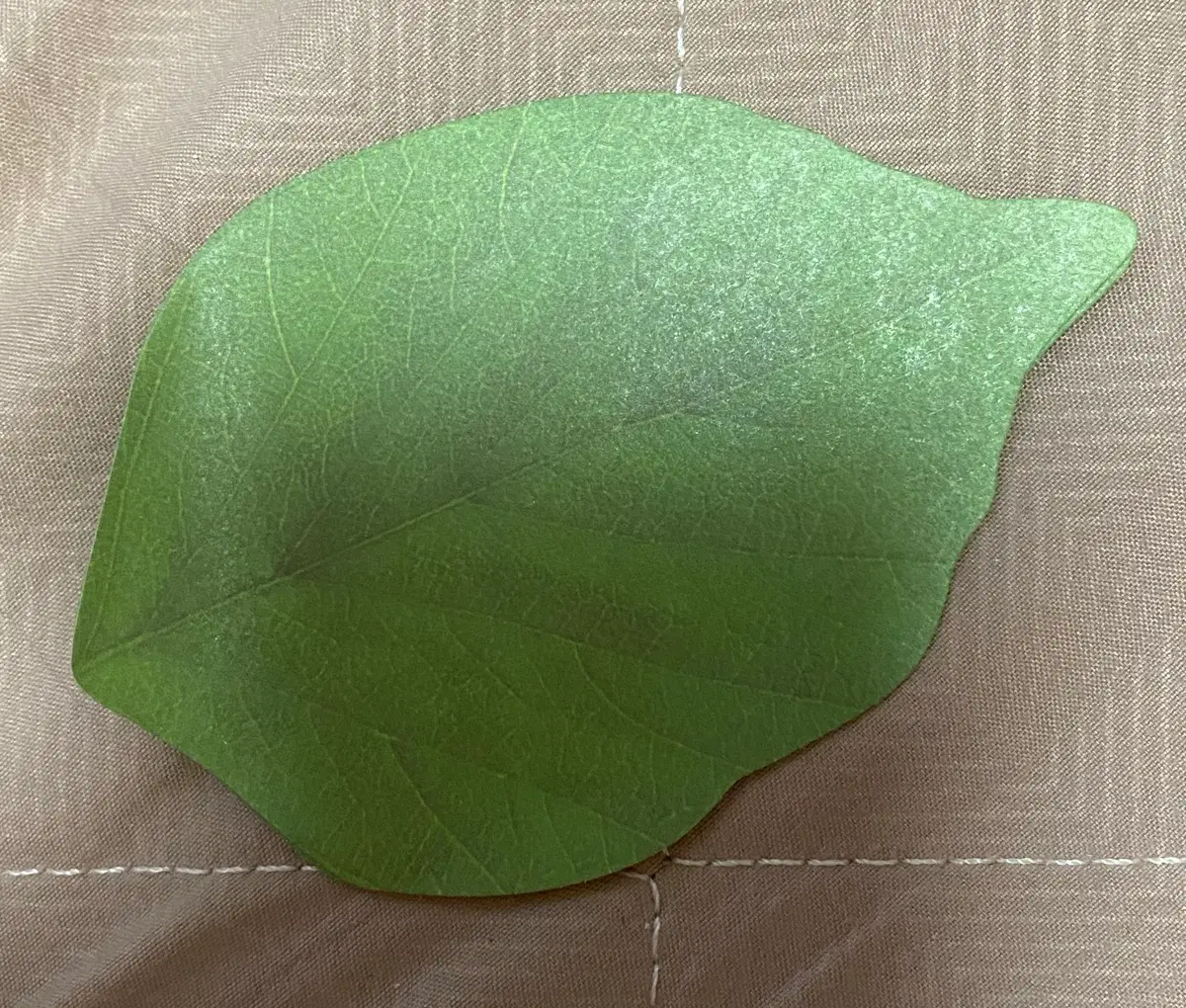 나뭇잎 메모지 4장
