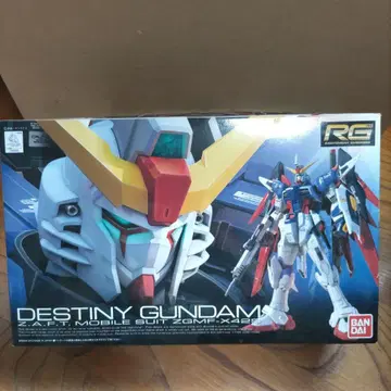 RG 1/144 데스티니 건담 프라모델