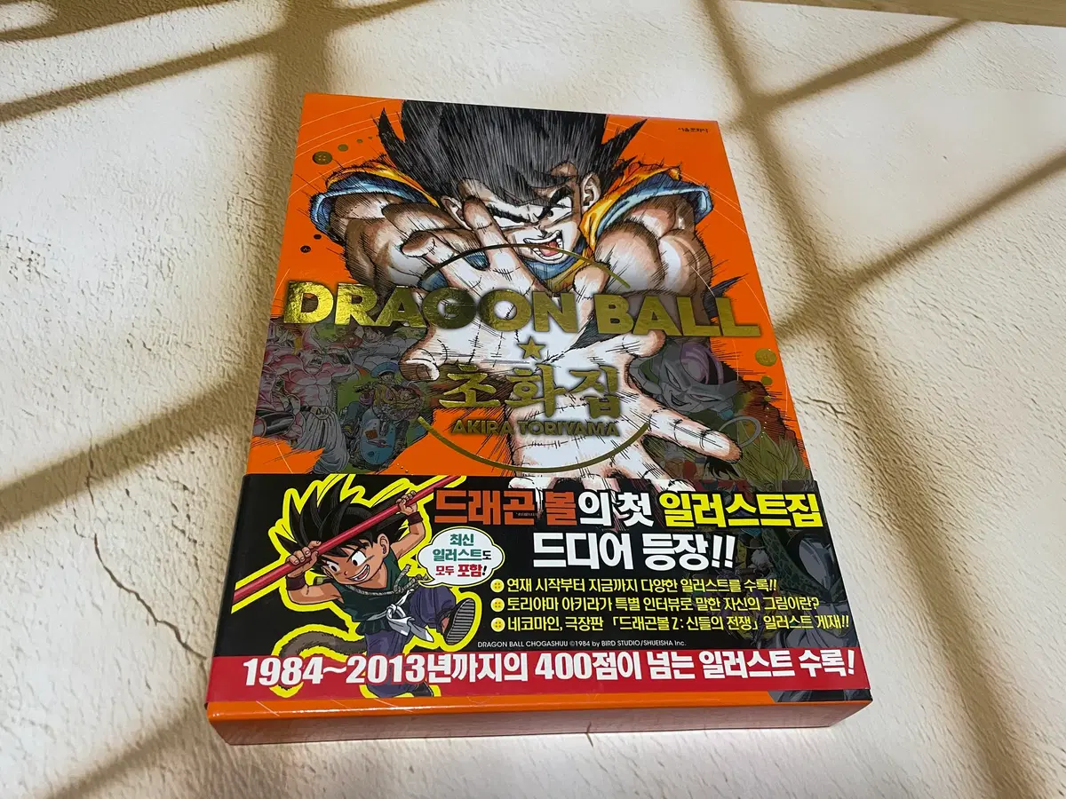 드래곤 볼 초화집