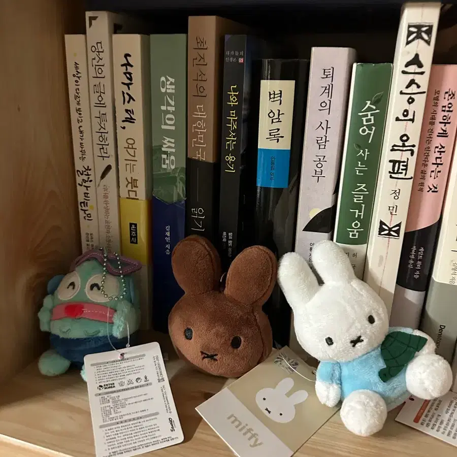 썬구리 한교동, 브라운 미피, 블루 미피 키링
