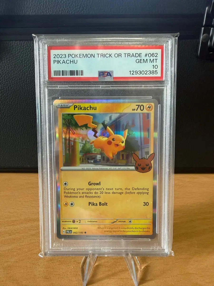 2023 포켓몬 할로원 피카츄 psa10