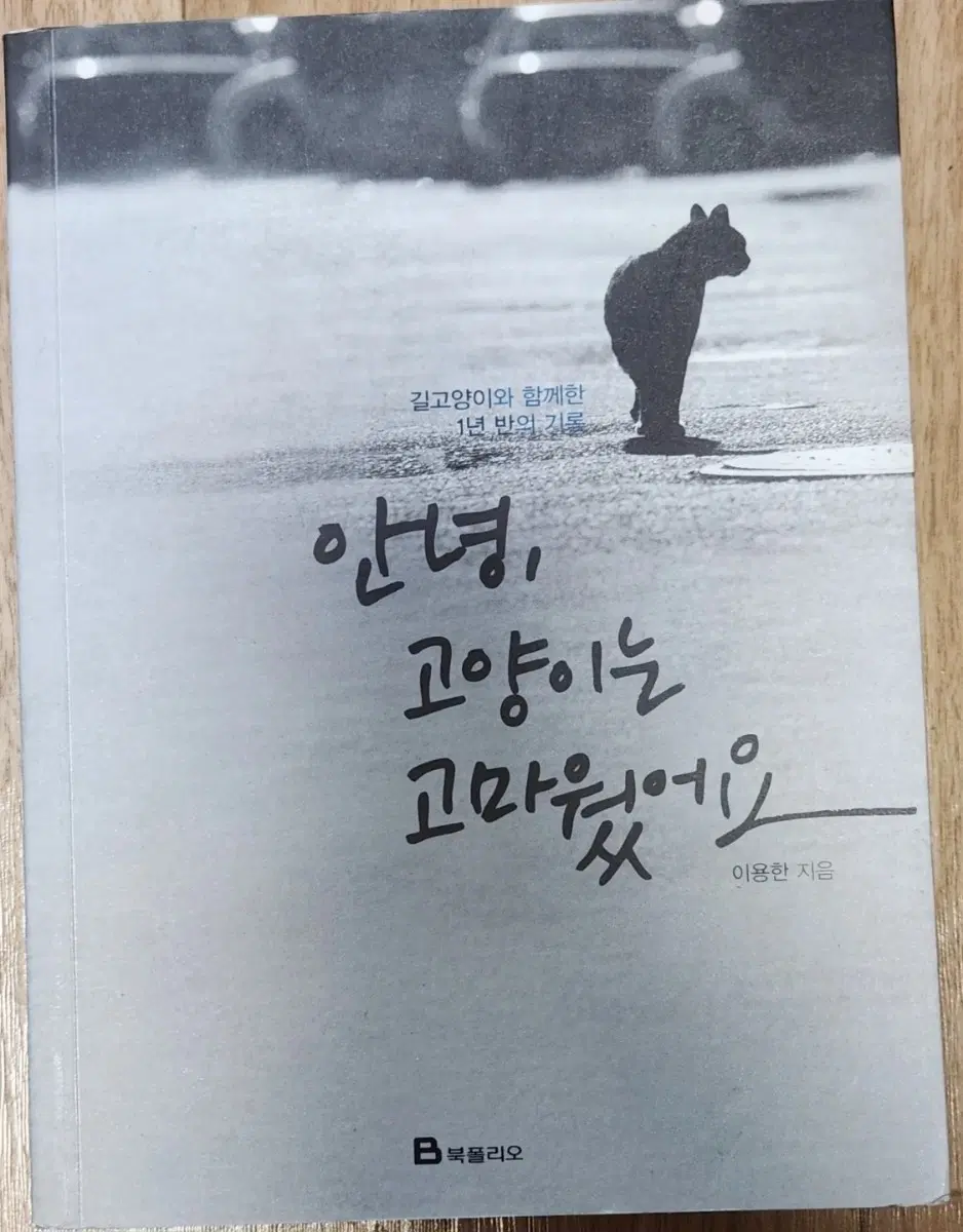 서적 안녕 고양이는 고마웠어요