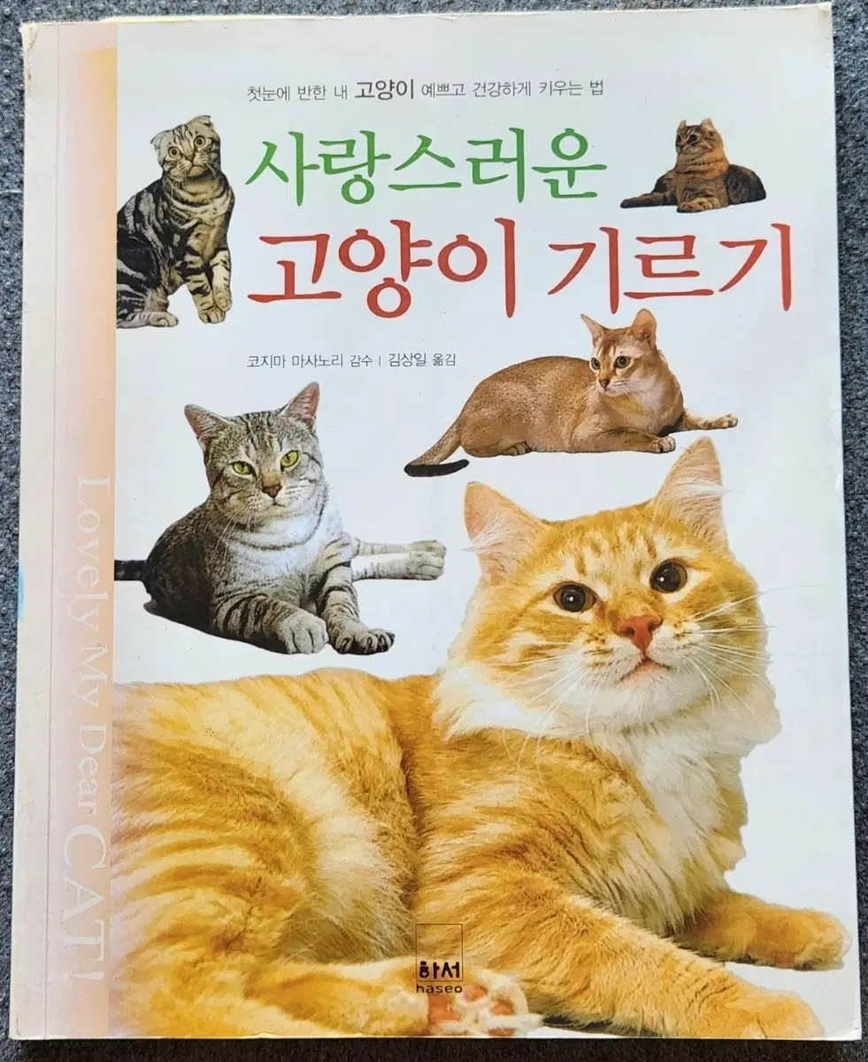 서적 사랑스러운 고양이 기르기