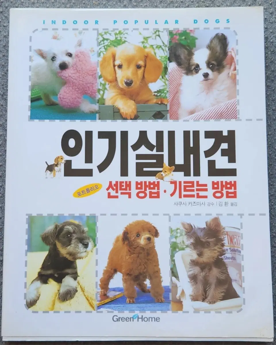 서적 인기 실내견