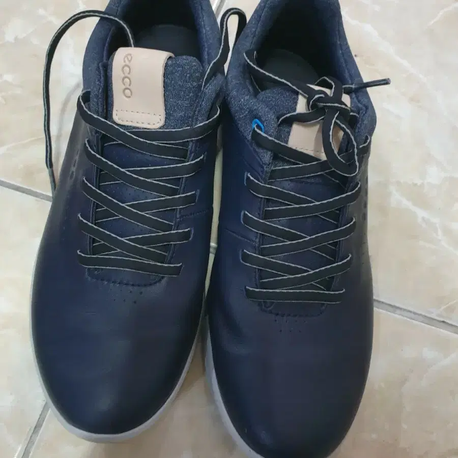 에코 골프화 240