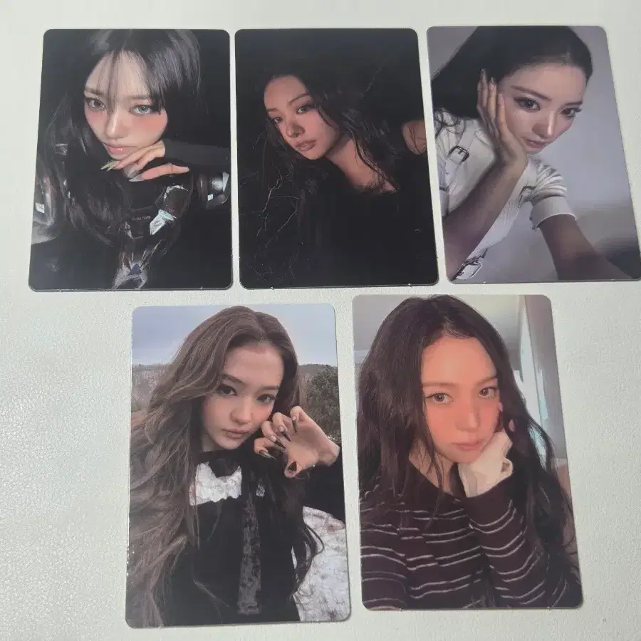 MEOVV 띠로리 MD 포카 5종 세트