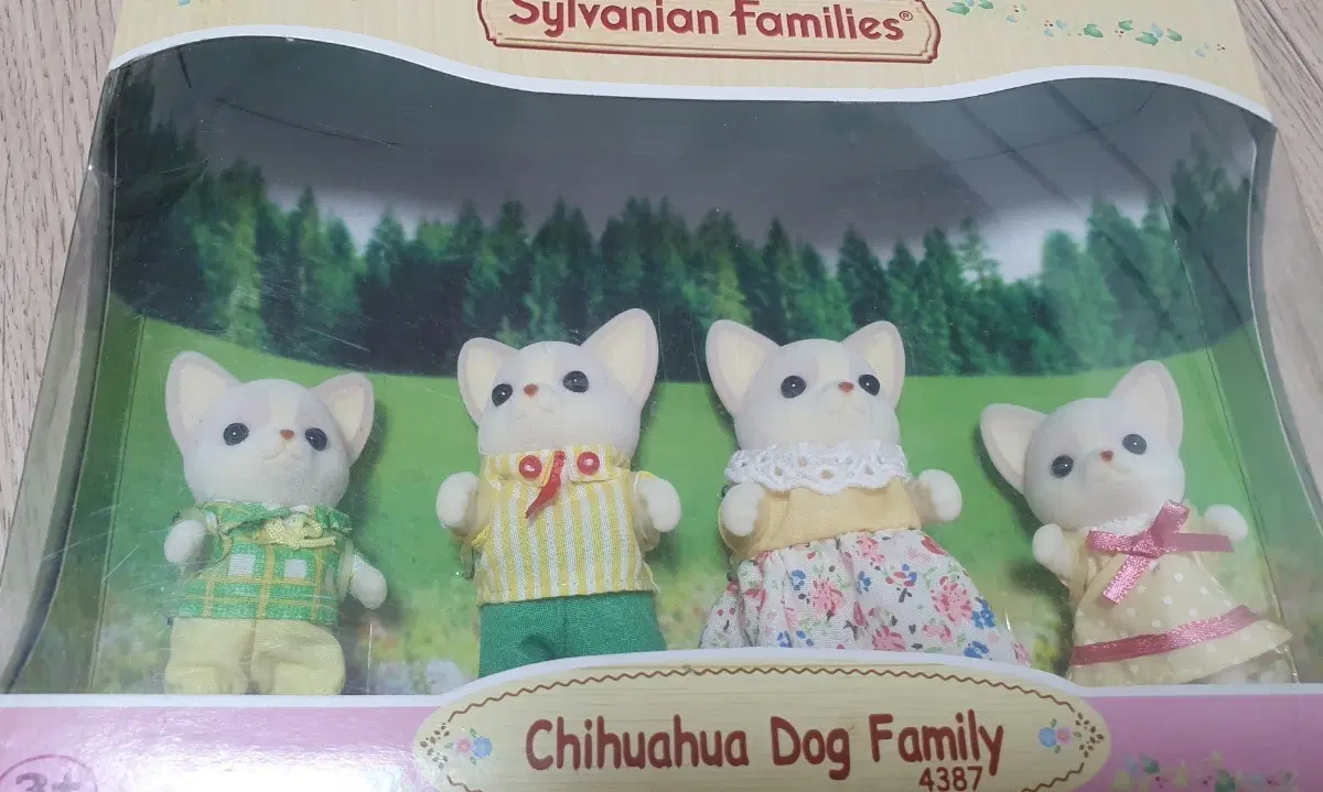 실바니안 치와와 가족