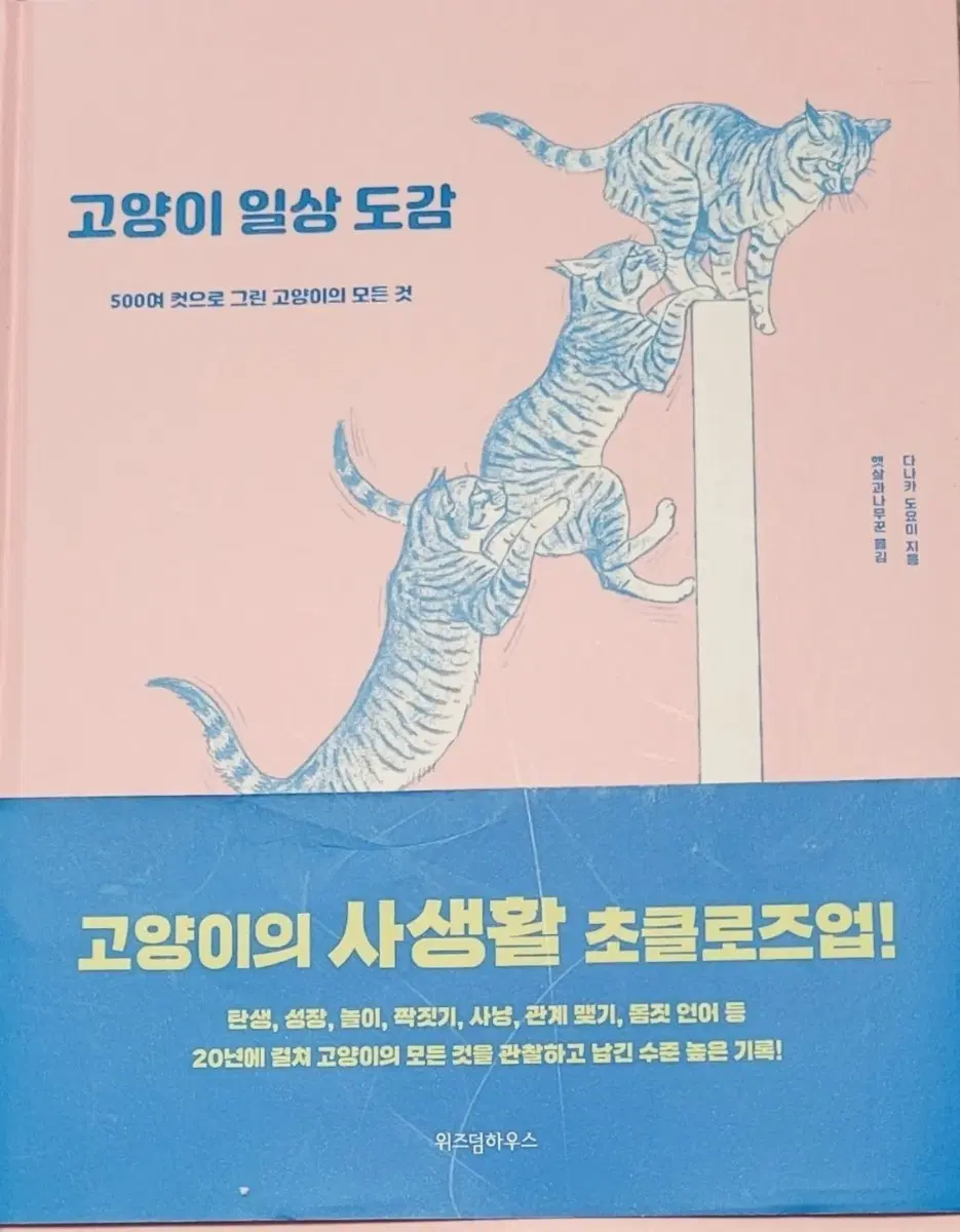 고양이 관련 서적 고양이 일상도감