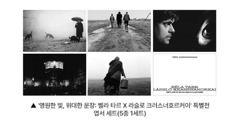 영원한빛 위대한문장 벨라타르 특별전 엽서 5종 세트 cgv 굿즈 특전